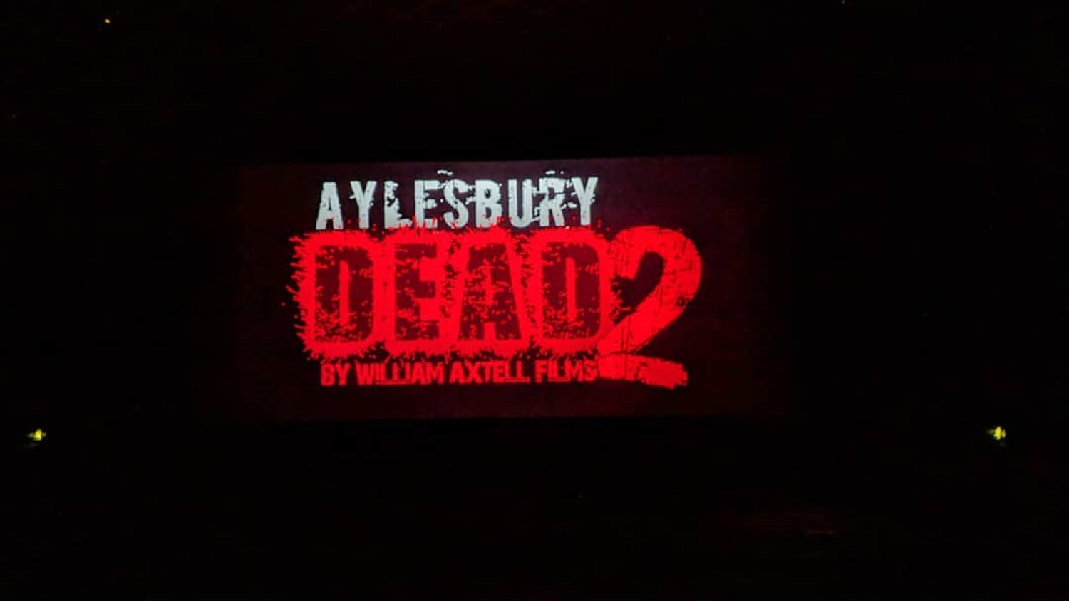 Aylesbury Dead 2