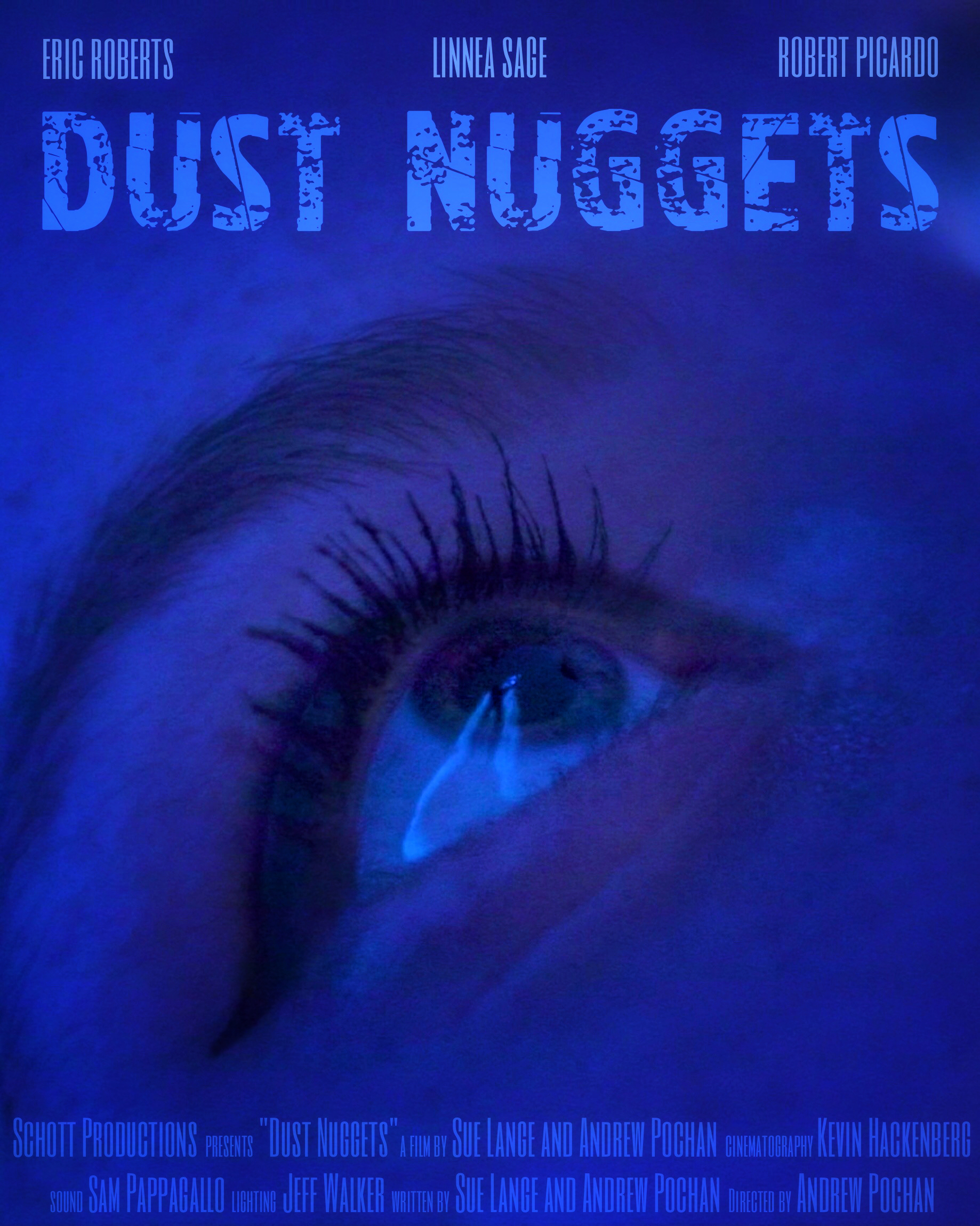 Dust Nuggets (2020)