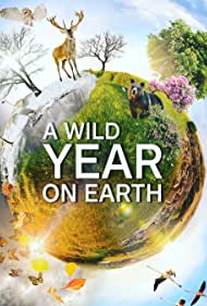 A Wild Year on Earth (2020)