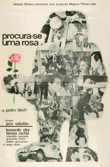Одна роза для всех (1964)