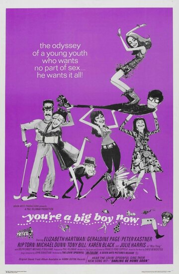 Ты теперь большой мальчик (1966)